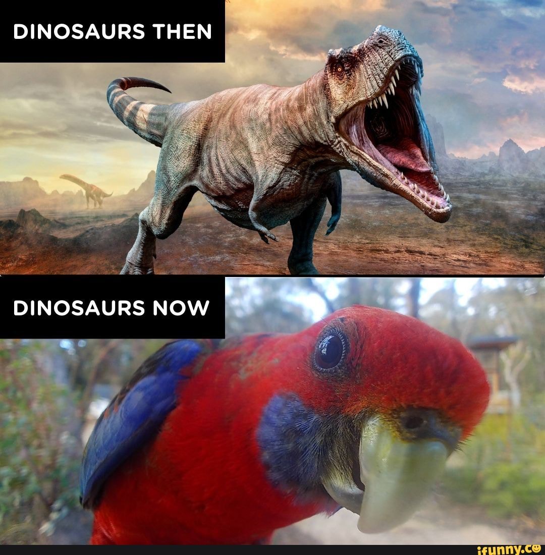 Let's Feed The Modern Dinosaur! - Dinosaurs Then Dinosaurs Now - Ifunny