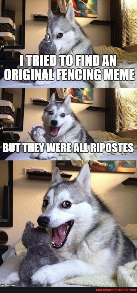 TRIED TO FIND AN ORIGINAL FENCING MEME
BUT THEY WERE ALL RIPOSTES