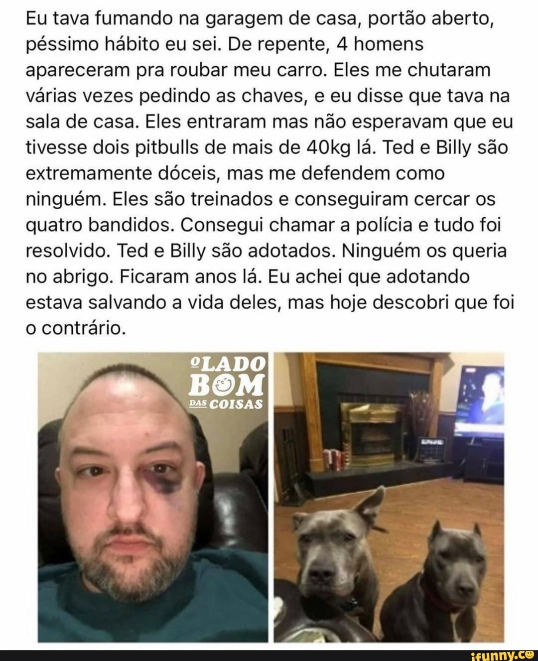 Eu tava fumando na garagem de casa, portão aberto, péssimo hábito eu sei. De repente, 4 homens apareceram pra roubar meu carro. Eles me chutaram várias vezes pedindo as chaves, e eu disse que tava na sala de casa. Eles entraram mas não esperavam que eu tivesse dois pitbulls de mais de 40kg lá. Ted e Billy são extremamente dóceis, mas me defendem como ninguém. Eles são treinados e conseguiram cercar os quatro bandidos. Consegui chamar a polícia e tudo foi resolvido. Ted e Billy são adotados. Ninguém os queria no abrigo. Ficaram anos lá. Eu achei que adotando estava salvando a vida deles, mas hoje descobri que foi o contrário.
LADO
DAS COISAS
