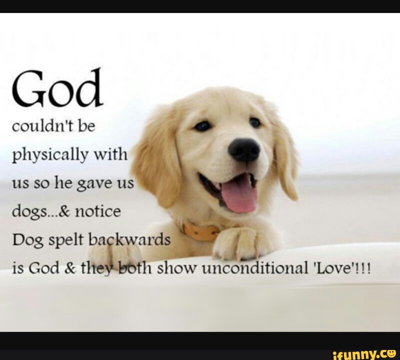 God Couldn T Be Physically With Us So He Gave Us Dogs Notice F Dog Spelt Ba Kwru Ds Mi Is God The th Show Unconditional Love Ifunny