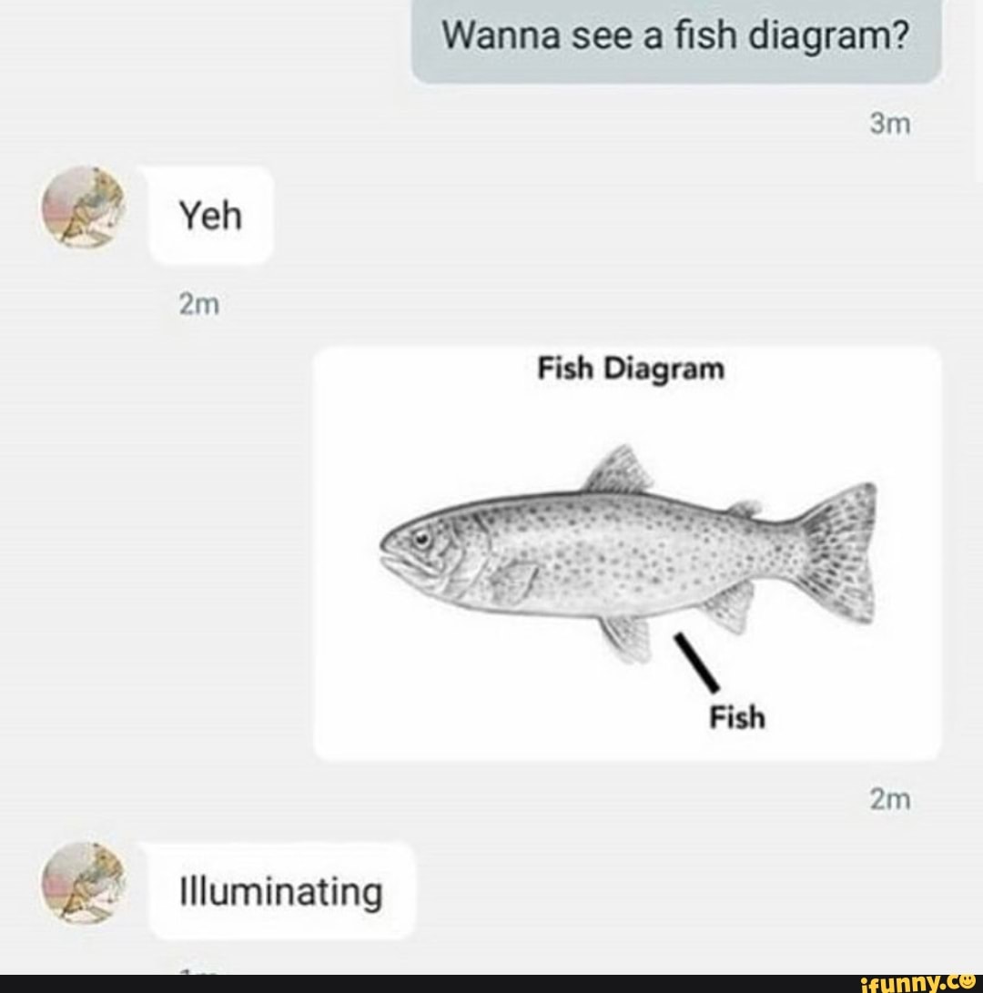 Wanna see a fish diagram?
Fish Diagram
<T SS Fish
Illuminating