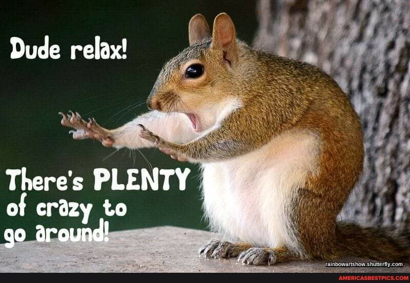 Dude relax!
There's PLENTY of crazy to go around!