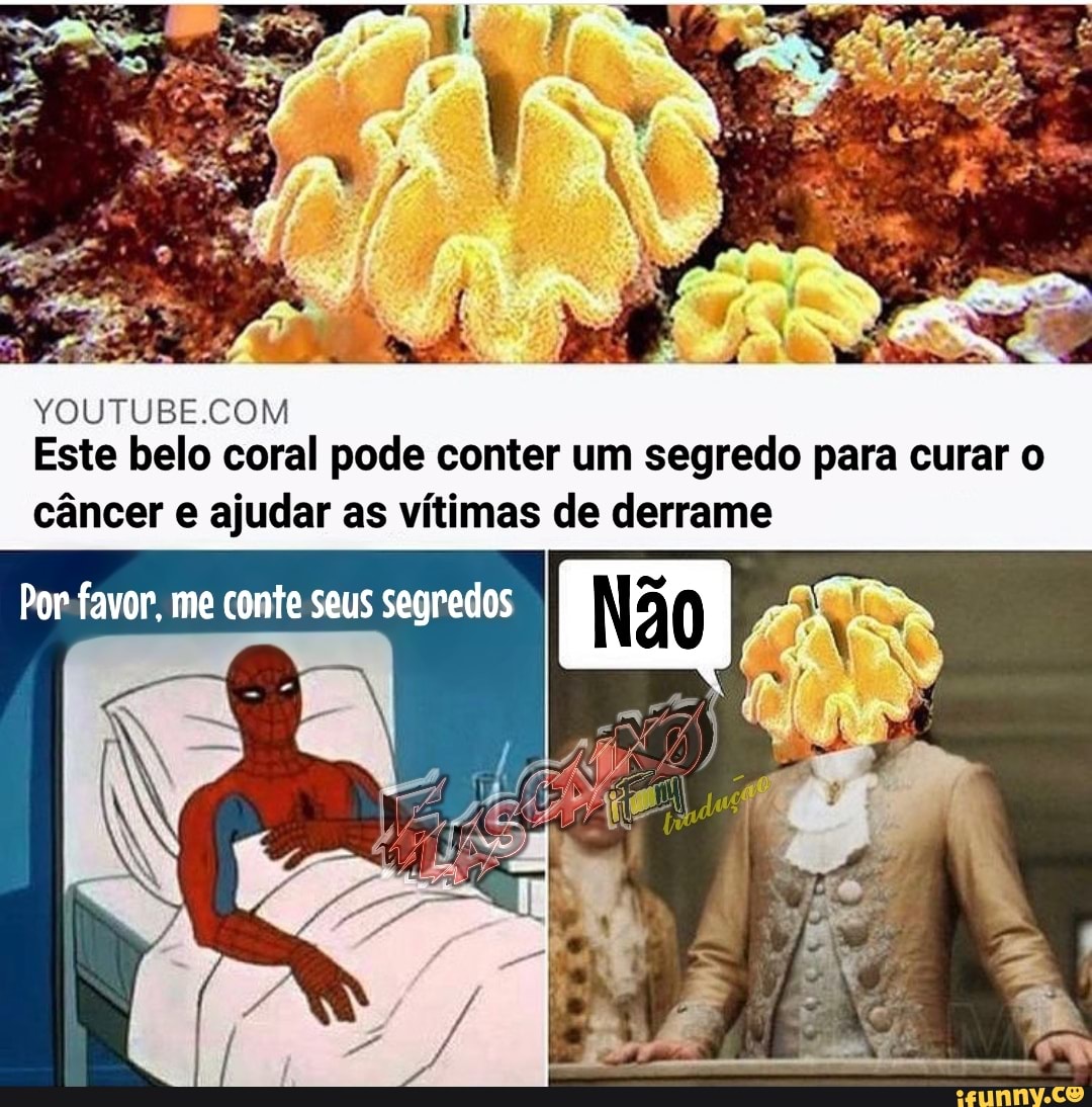 Este belo coral pode conter um segredo para curar o
RE
câncer e ajudar as vítimas de derrame
favor, me coite seus segredos