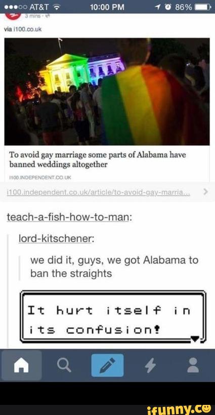 To moid gay marriage some pans cfAlabnma ham
banned weddings almgoxhcr
we did it. guys. we go! Alabama to
ban the straights -