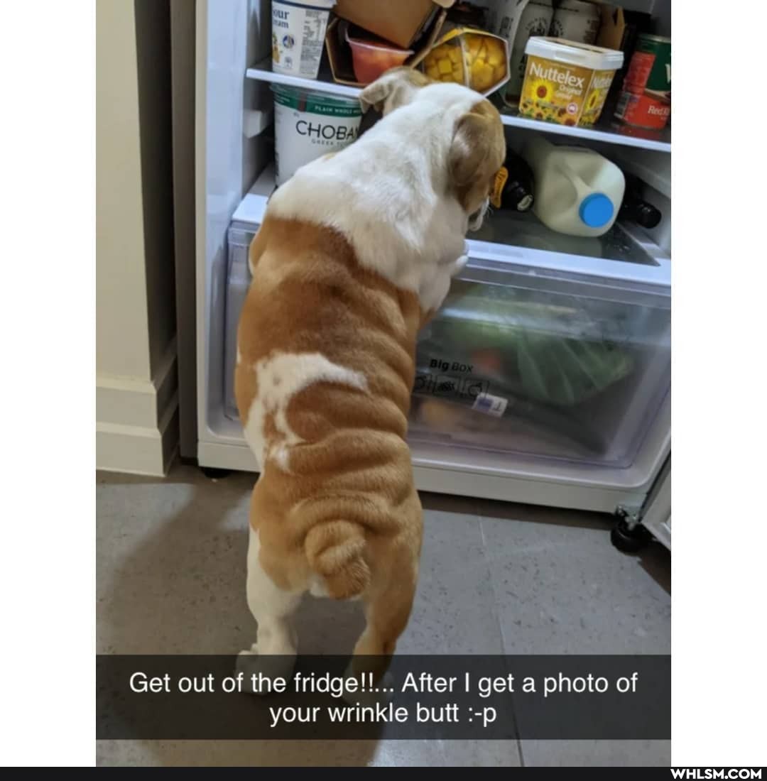 Get out of the fridge!!... After I get a photo of your wrinkle butt :-p