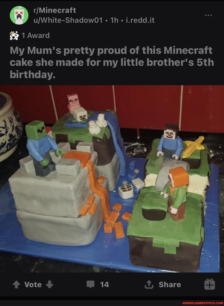 i.redd.it
Award
My Mum's pretty proud of this Minecraft cake she made for my little brother's Sth birthday.
Vote 14 it, Share