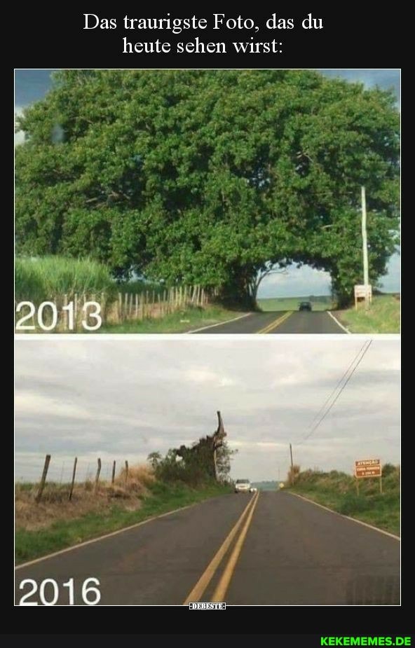 Das traurigste Foto, das du heute sehen wirst:
2016