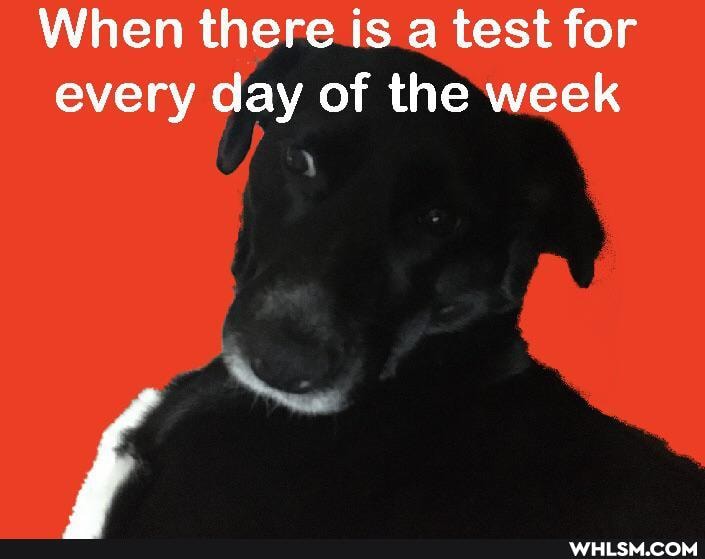 When there is a test for every day of the week