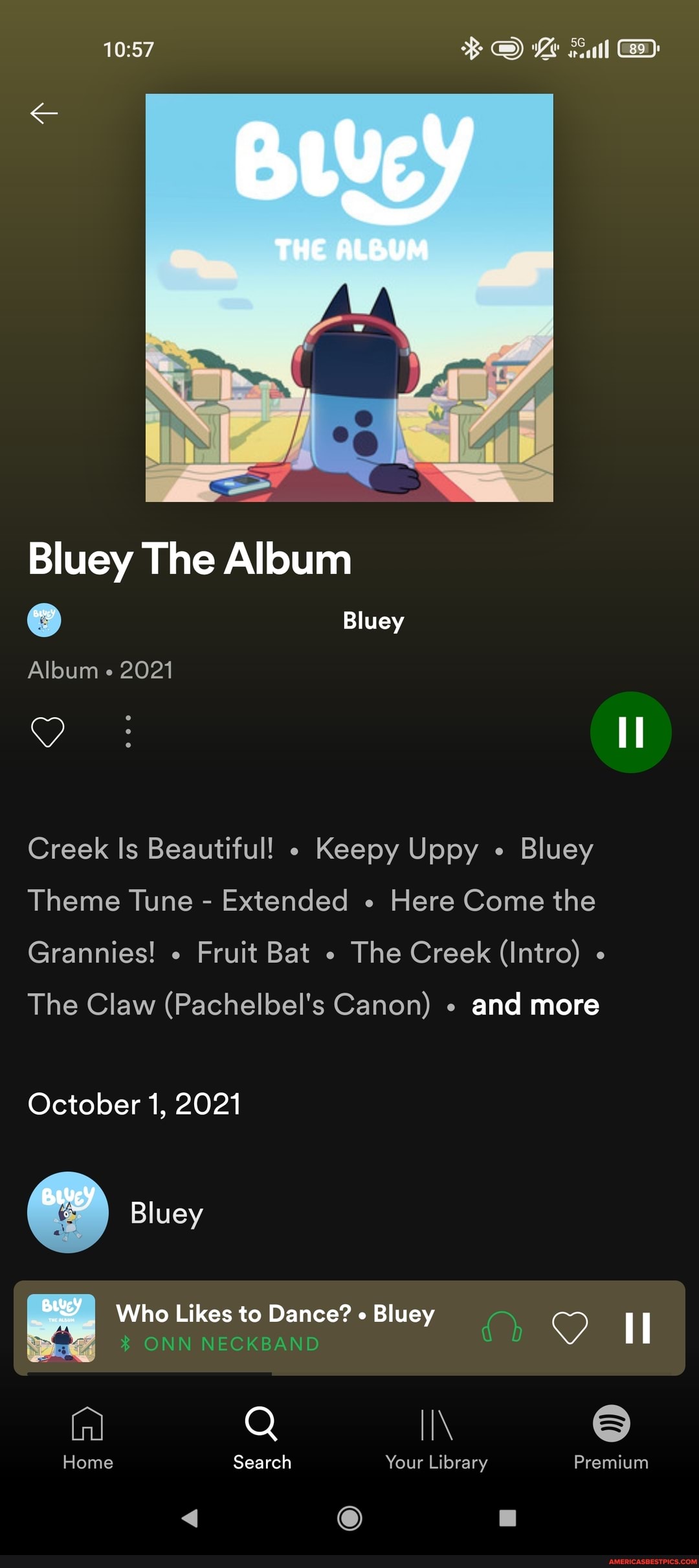 Bluey The Album Le Fall THE ALBUM Bluey Album 2021 Creek Is Beautiful