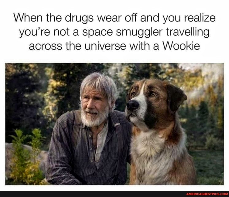 When the drugs wear off and you realize you're not a space smuggler travelling across the universe with a Wookie