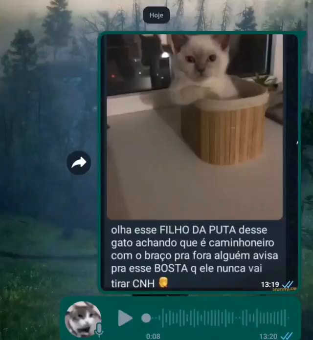 O foda que ela é linda Eeusousóo Leon Agiota do carro do ovo - iFunny Brazil