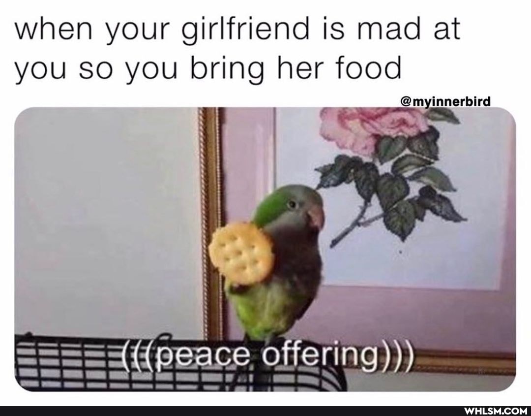 when your girlfriend is mad at you so you bring her food
__@myinnerbird