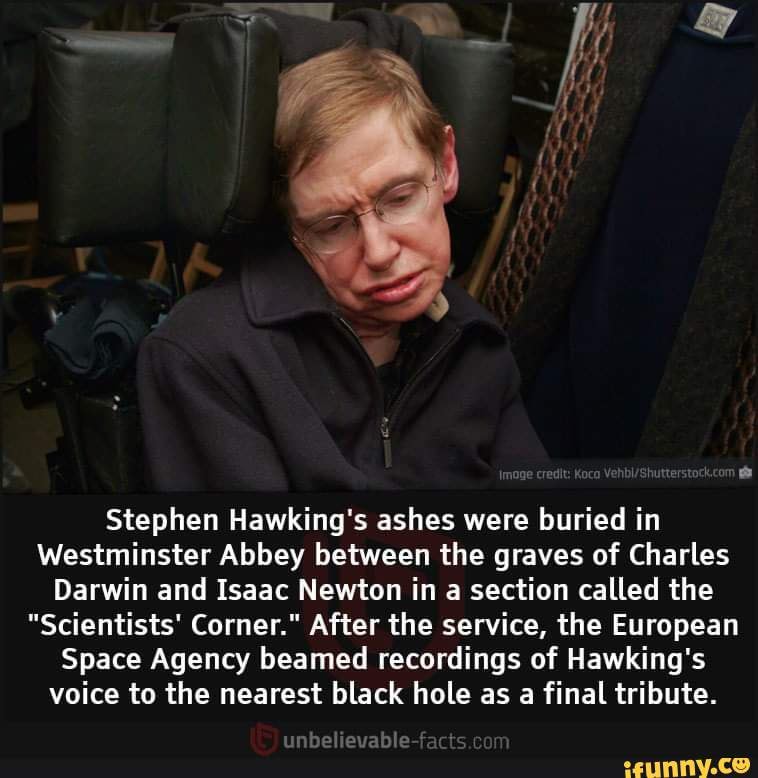 Stephen Hawking's ashes were buried in Westminster Abbey between the ...