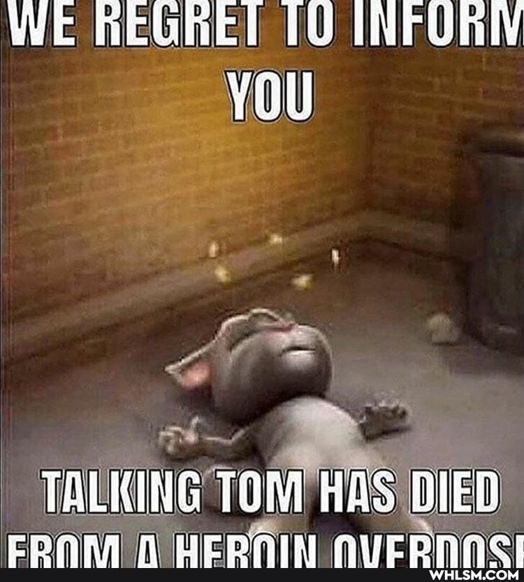 WE REGREI TU
TALKING TOM IER ERARA À SERI NVECENAS!