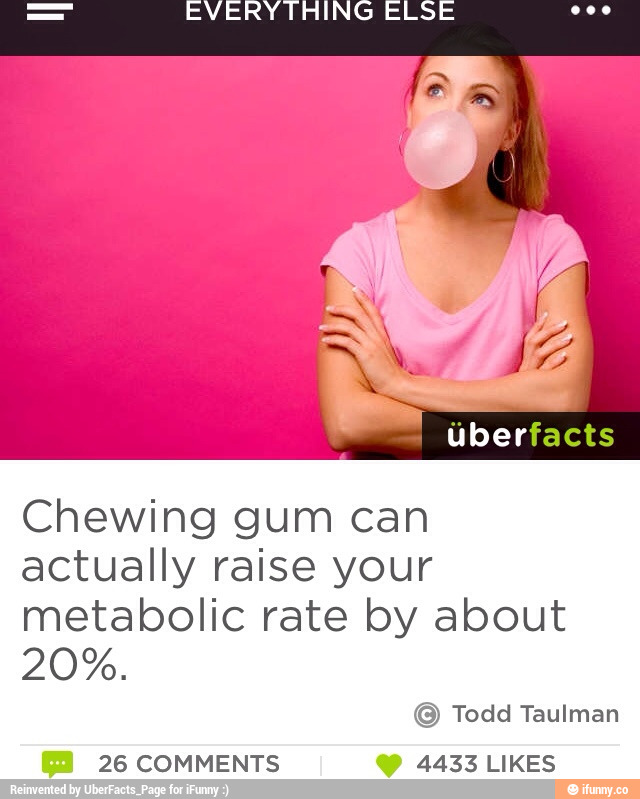 EVERYTHING ELSE ooo Chewing gum can actually raise your metabolic rate