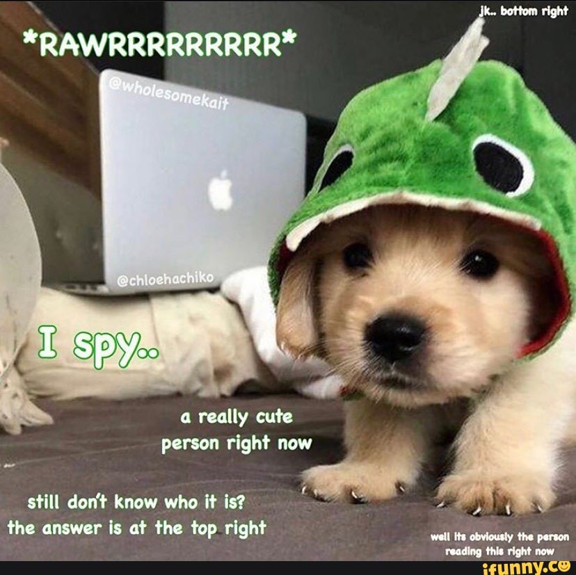 *RAWRRRRRRRRR*
a really cute person right now still don't know who it is? the answer is at the top right