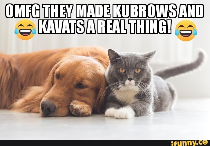 warframe, kubrows, kavat, cat, dog