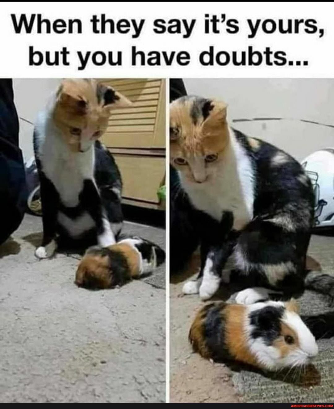 When they say it's yours, but you have doubts...