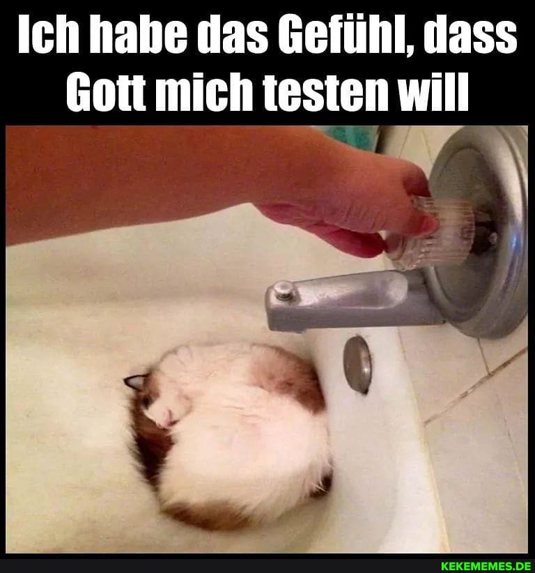 Ich habe das Gefühl, dass
Gott mich testen will