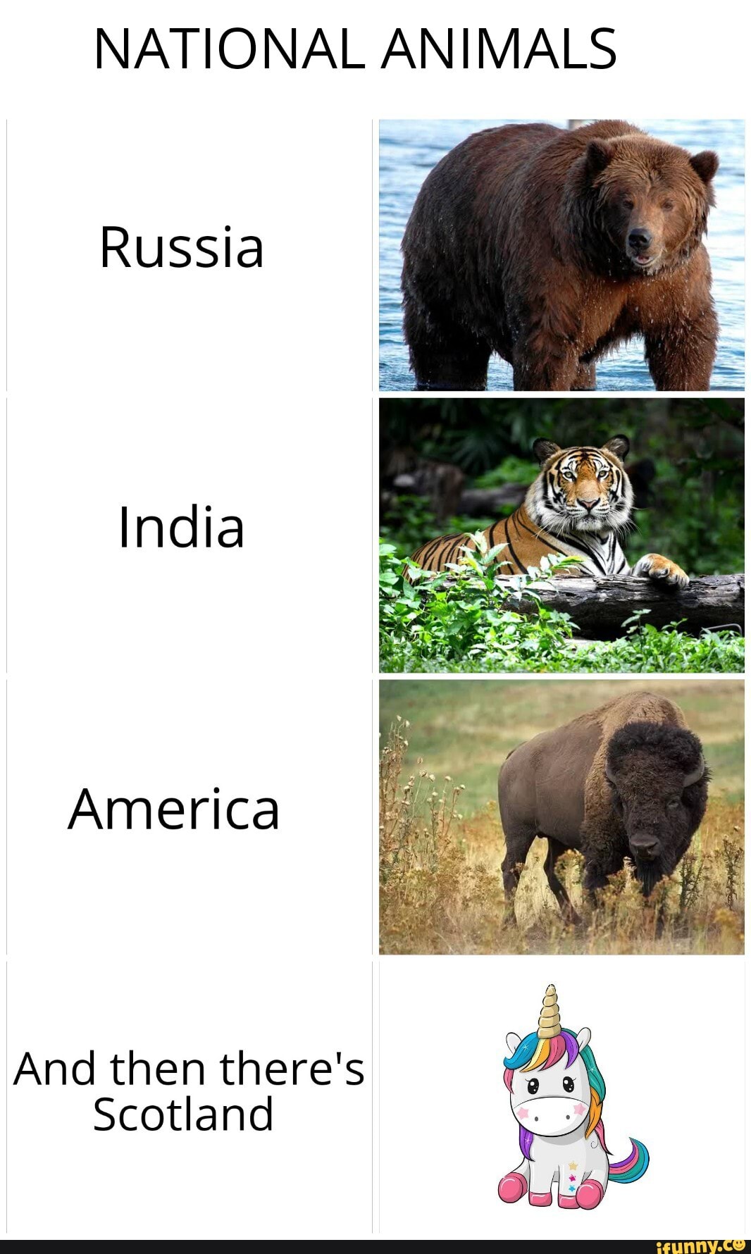 NATIONAL ANIMALS Russia America And then there's Scotland 