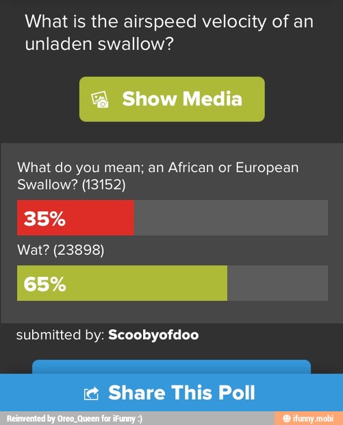 what-is-the-airspeed-velocity-of-an-unladen-swallow-what-do-you-mean