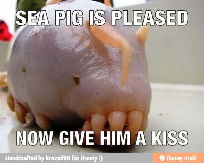 NOW, GIVE HIM ASK