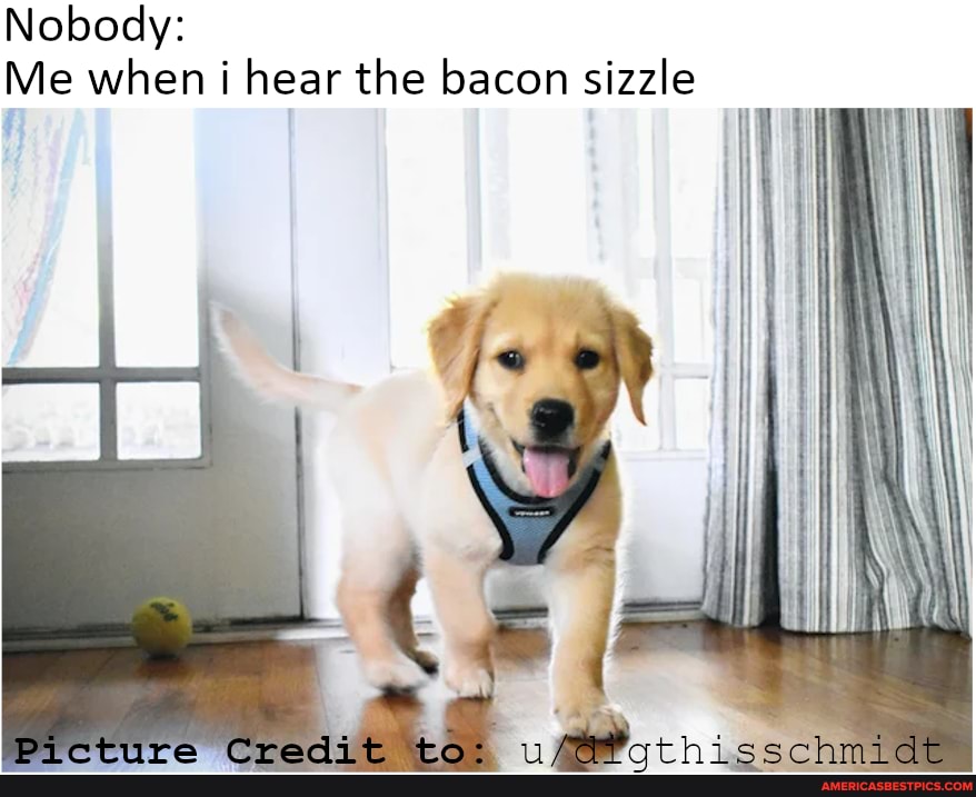 Nobody:
Me when i hear the bacon sizzle