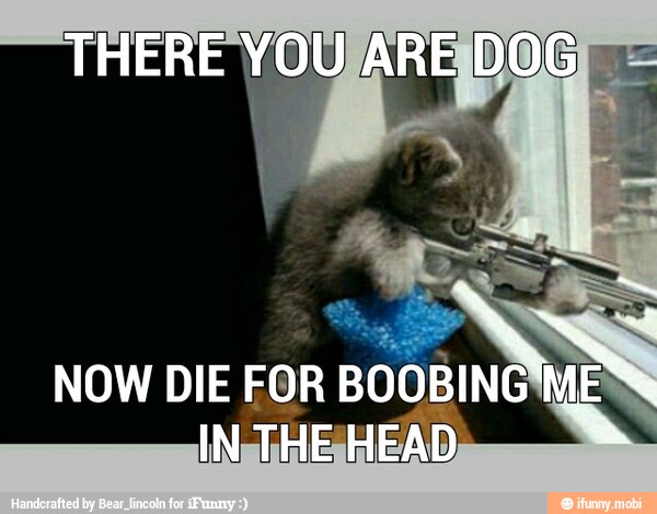 NOW DIE FOR BOOBING