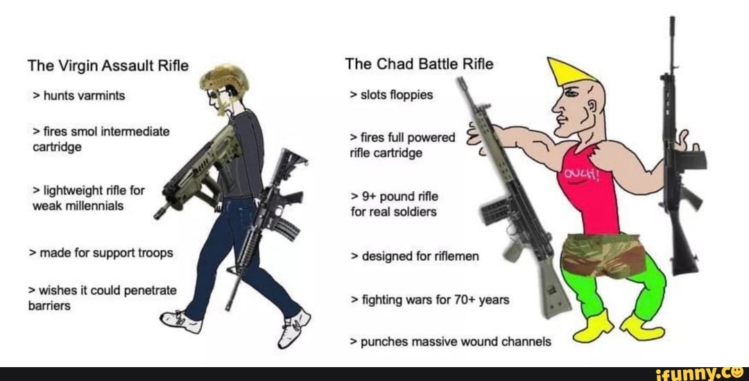 Assault Rifle vs Battle Rifle 