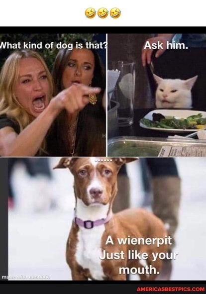 Nhat kind of dog is that' Ask him.
wienerptt
Just like your
mouth. he