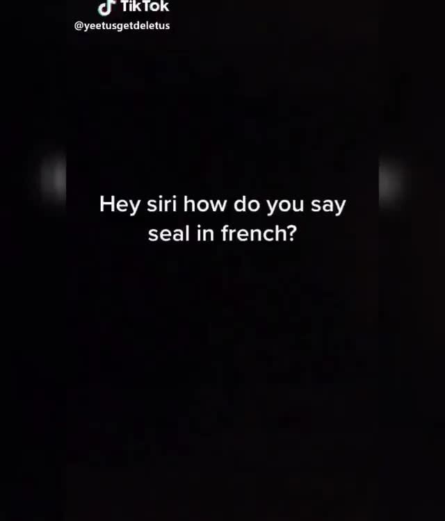 TikTok @yeetusgetdeletus Hey siri how do you say seal in french? - )