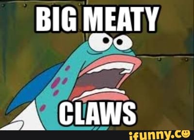 BIG MEATY
Co