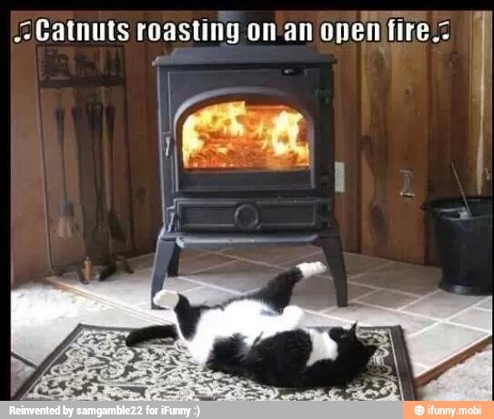 -Catnuts roasting onan
openifire.-