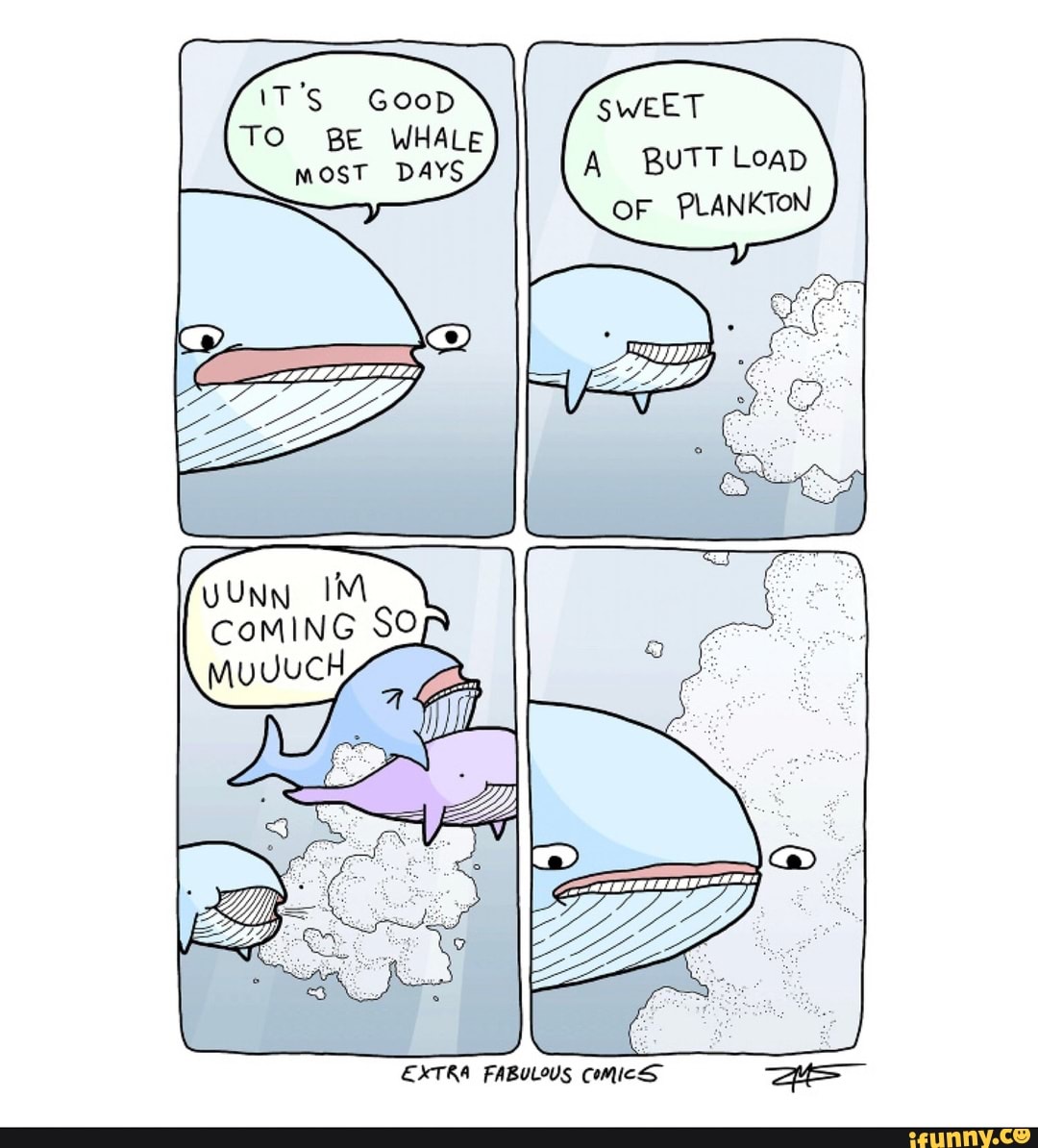 1T'S Goop SWEET
TO BE WHALE most DAYS BUTT LoaD
OF PLANKTON
CoMING SO
EXTRA FABULOUS COMICS