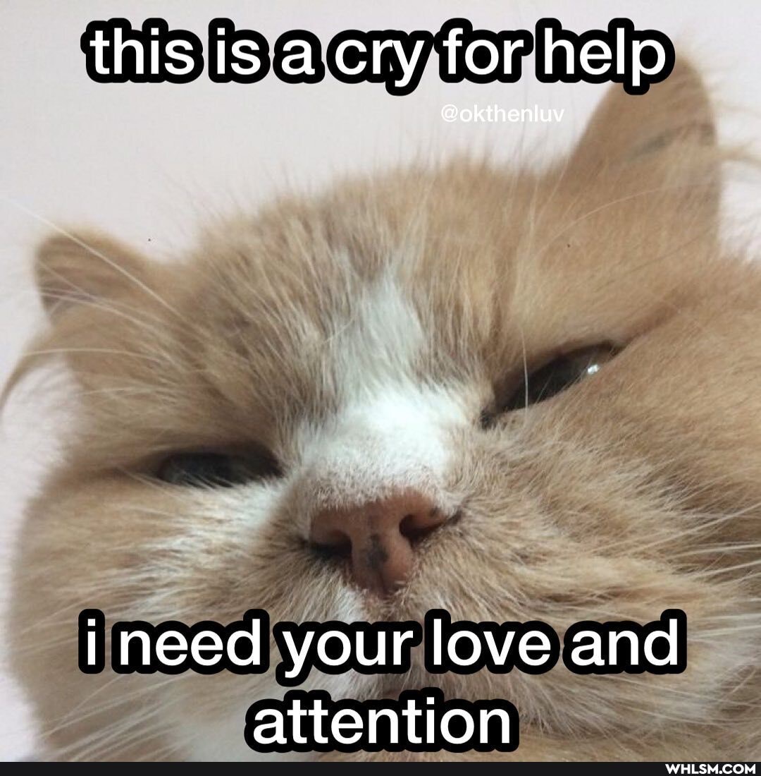 this is a cry for help
i need your love and attention