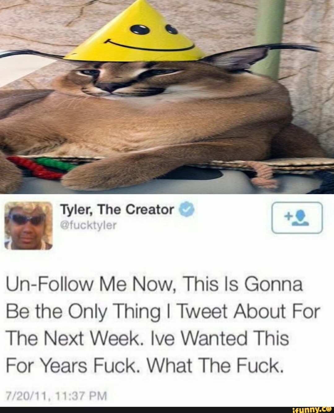 Astronave Íntimo Compatible con Tyler, The Creator Un-Follow Me Now, This Is Gonna Be the Only Thing I  Tweet About For The Next Week. Ive Wanted This For Years Fuck. What The  Fuck. PN - )
