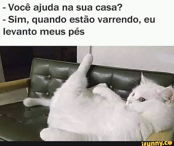 Você ajuda na sua casa?
Sim, quando estão varrendo, eu
levanto meus pés