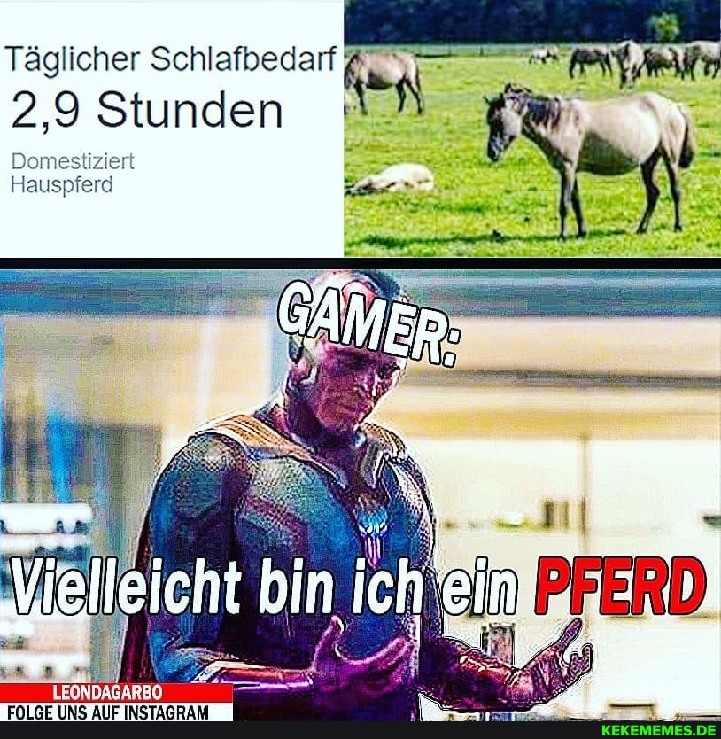 Täglicher Schlafbedarf
2,9 Stunden
Hauspferd
Vielleicht bin ich ein
LEONDAGARSO