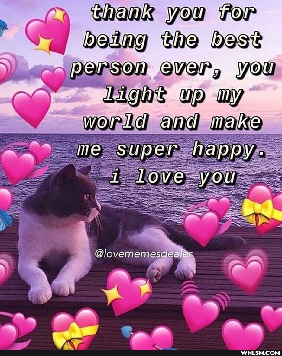 thank you for being the best person CVs, you light wp my world and make me super happy.
love you
@lovememes
