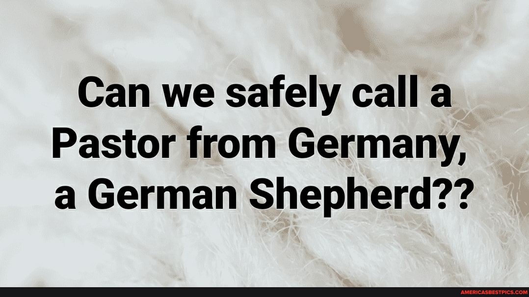 Can we safely calla
Pastor from Germany, a German Shepherd??