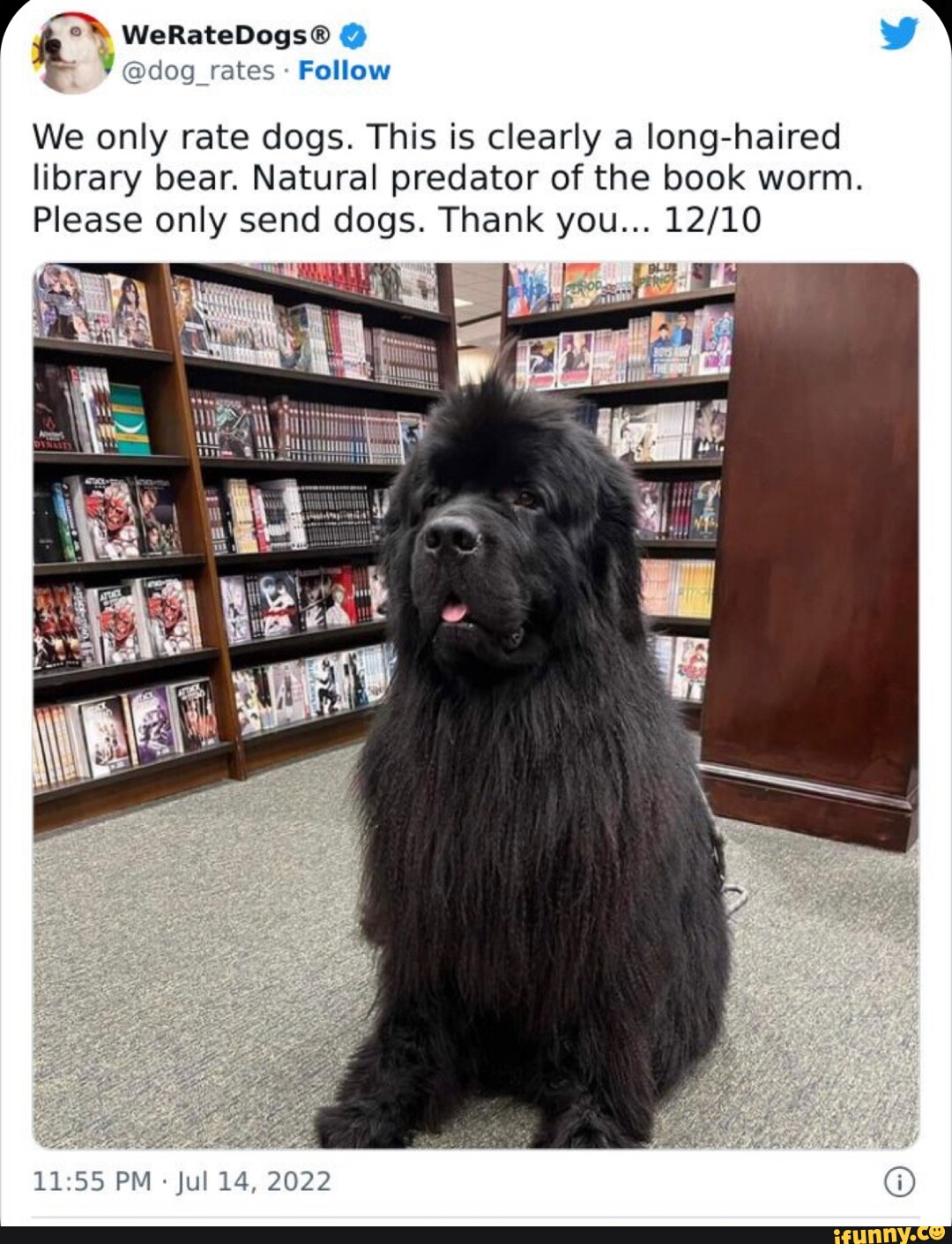 WHEN FLOWERS GROW THROUGH MY BONES TLL FINALLY BE BEAUTIFUL iFunny