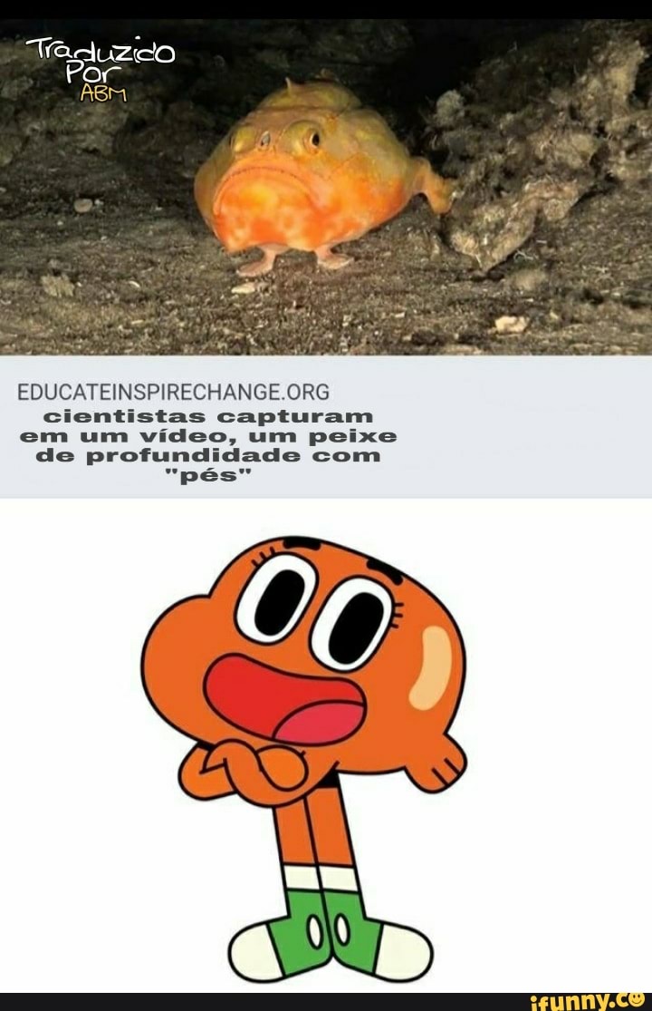 EDUCATEINSPIRECHANGE.ORG
cientistas capturam
em um video, um peixe
de profundidade com