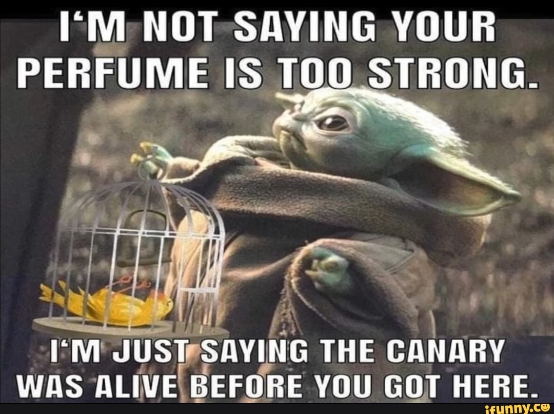NOT SAYING YOUR PERFUME IS TOO _STRONG. JUST SAYING THE CANARY WAS