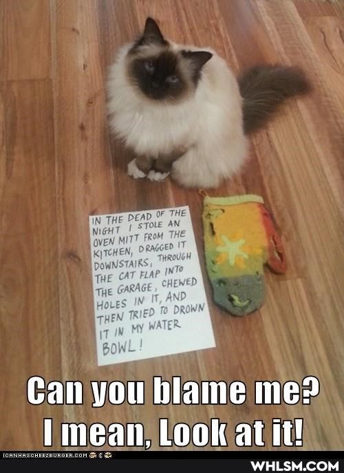 Can you blame me?
[mean Look atiti