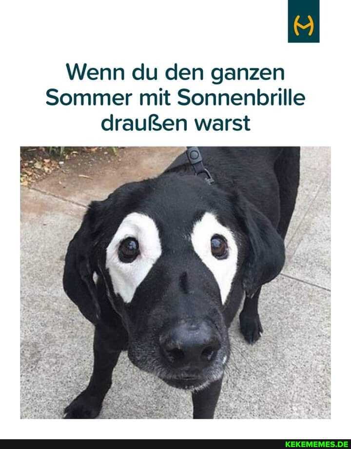 Wenn du den ganzen
Sommer mit Sonnenbrille draußen warst