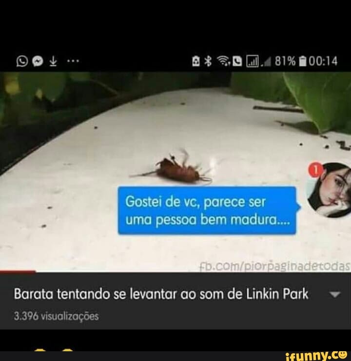 uma pessoa bem madura...
Barata tentando se levantar ao som de Linkin Park. =
3.396 visualizações