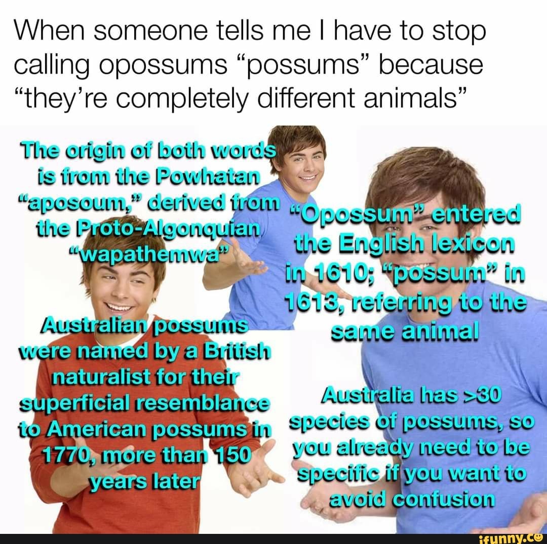 When someone tells me I have to stop calling opossums "possums" because
"they're completely different animals"
The origin of beth werds is trom the Powheten
"enosouin," Gerived te : epesoum," cerived nost
Were
boy
the
aucl hes s)
want te
i POSS ti species CL PeSSUlUs, Se