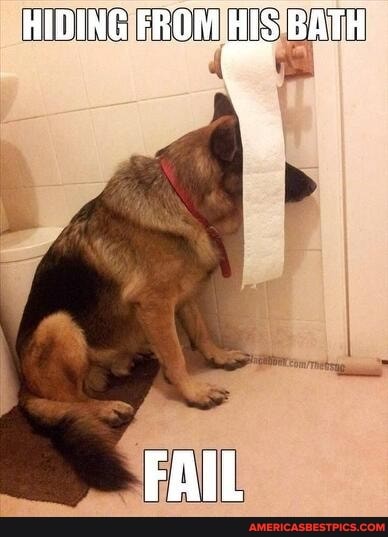 HIDING FROM BATH
FAIL