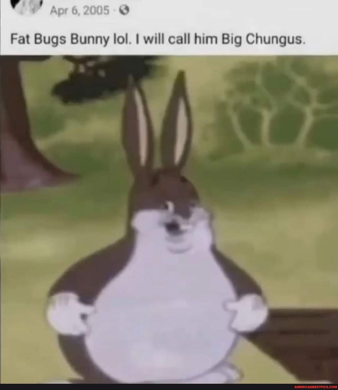 Fat Bugs Bunny Lol Will Call Him Big Chungus Americas Best Pics And Videos 3629