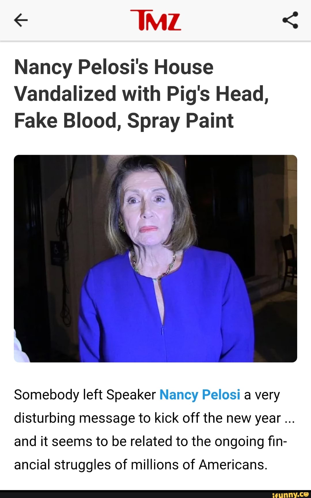 MZ Nancy Pelosi's House Vandalized with Pig's Head, Fake Blood, Spray